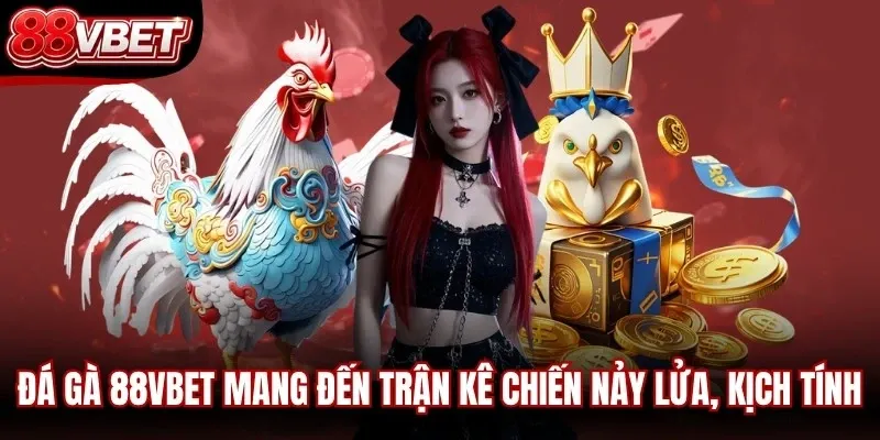 Đá gà 88VBET mang đến những trận kê chiến nảy lửa, kịch tính