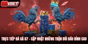 Trực Tiếp Đá Gà 67