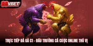Trực Tiếp Đá Gà C1